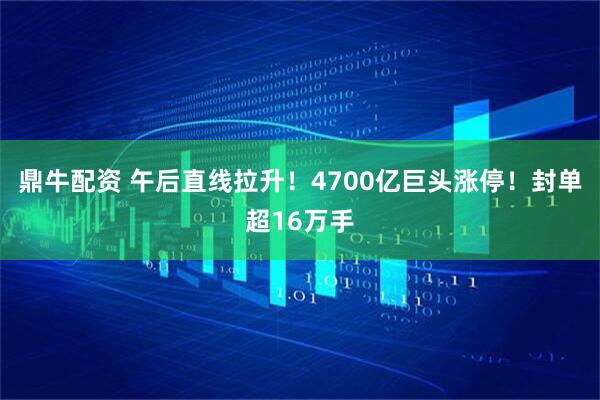 鼎牛配资 午后直线拉升！4700亿巨头涨停！封单超16万手